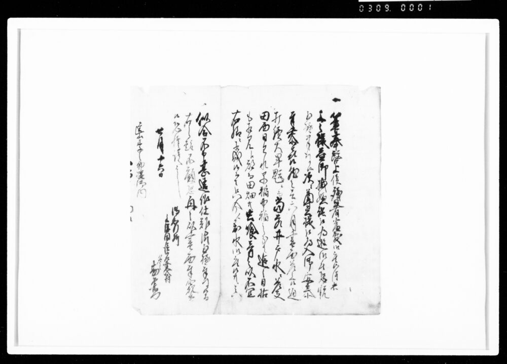 作品画像：遠山季之助家来某宛書状（大干魃につき米不作の見込伝達）