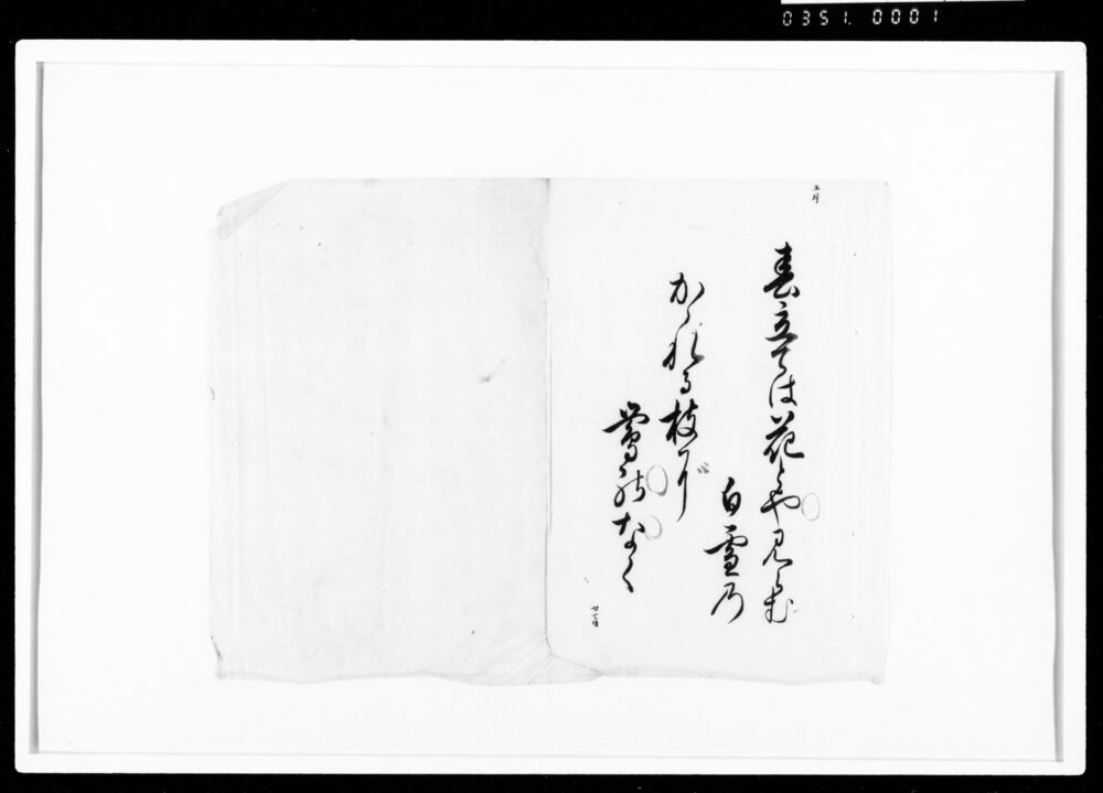 作品画像：[習字手習断簡]