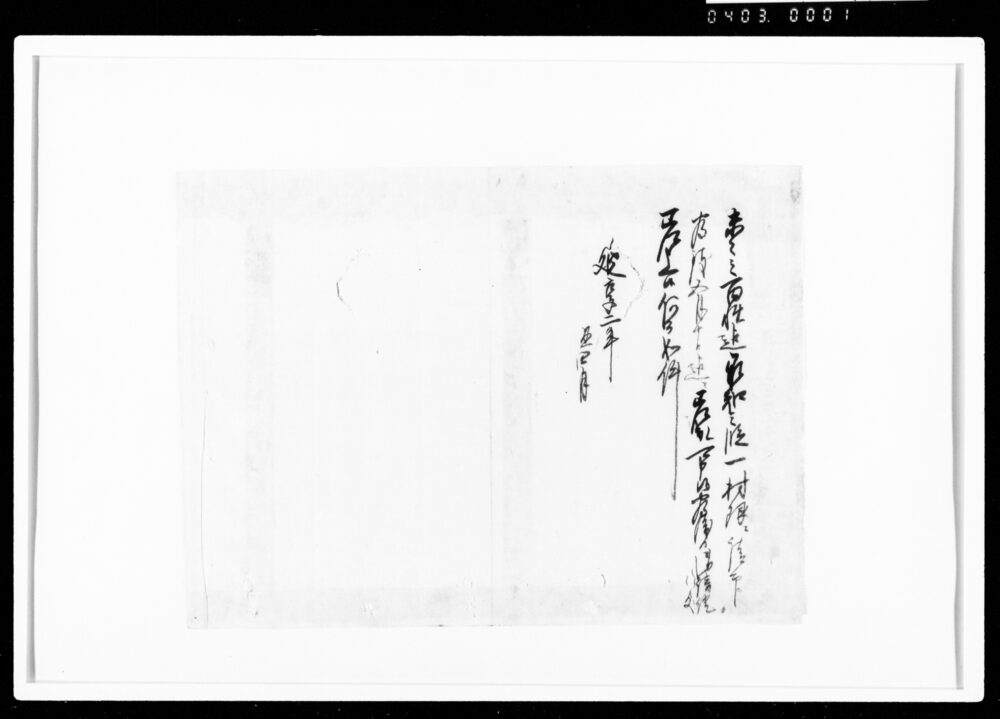 作品画像：[差上申御請証文之事]