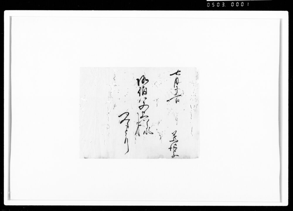 作品画像：[伯父上様宛書状　断簡]