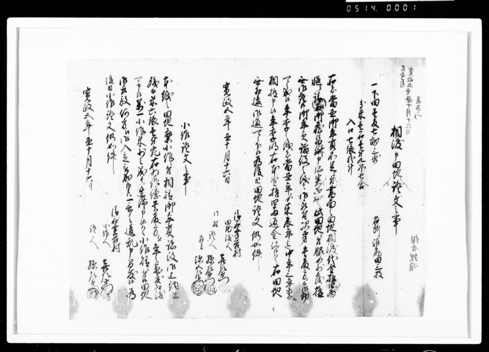 作品画像：相渡申田地証文之事（代金14両請取）
