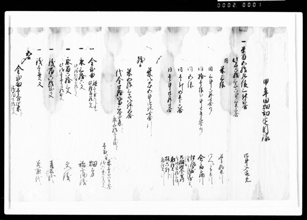 作品画像：申年田畑勘定目録