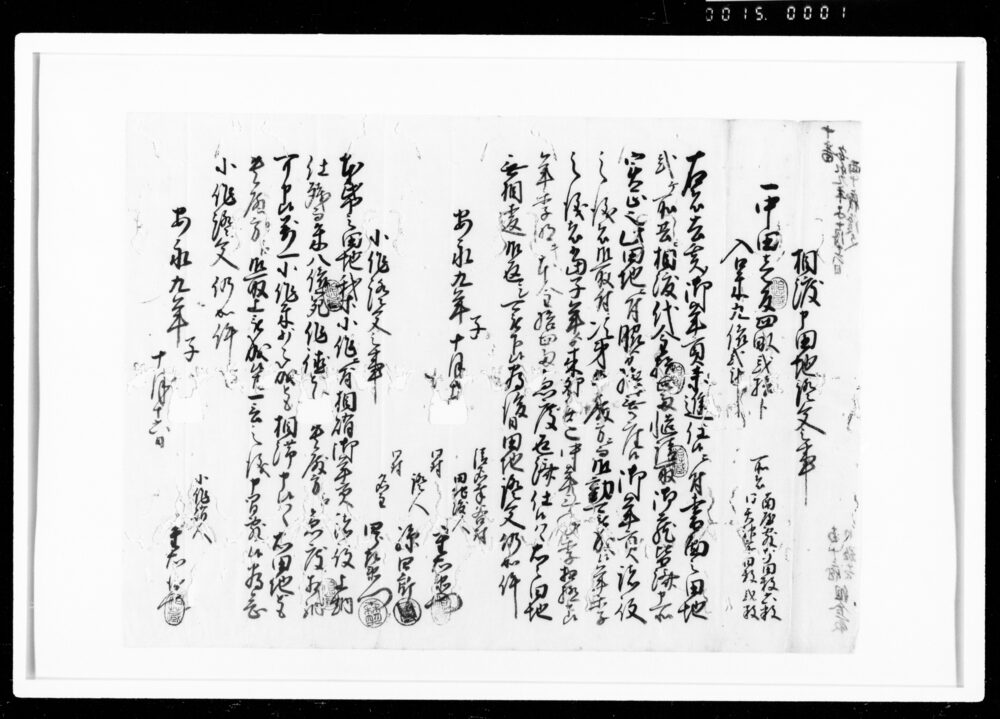 作品画像：相渡申田地証文之事（代金14両請取）