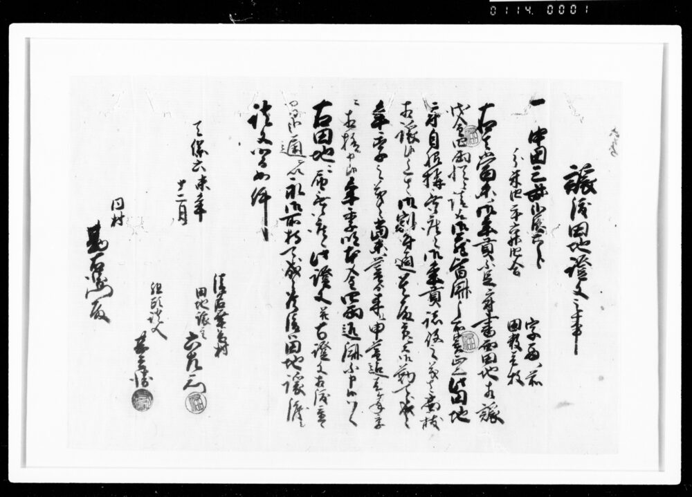 作品画像：譲渡田地証文之事（代金両請取）