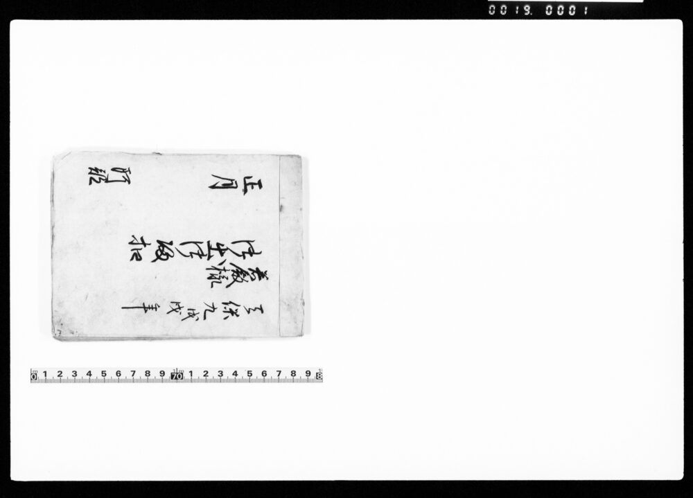 作品画像：若殿様御出御帰控