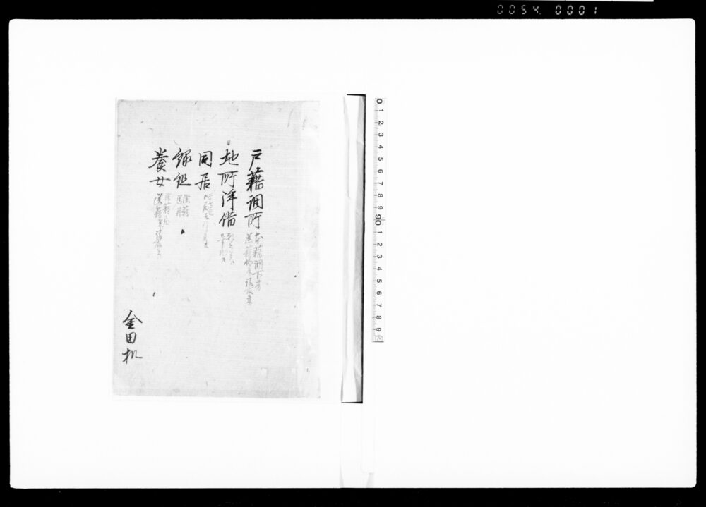 作品画像：御家人金田家文書　戸籍調書、地所拝借、同居、縁組、養女 控帳