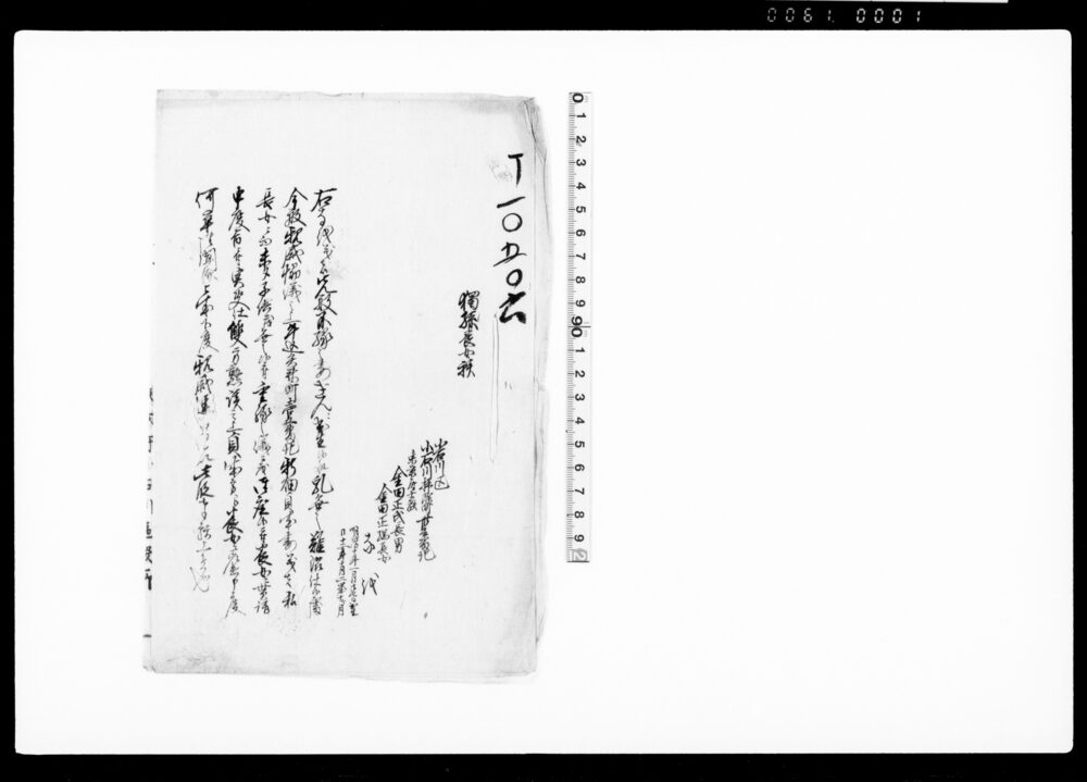 作品画像：御家人金田家文書　独孫養女願