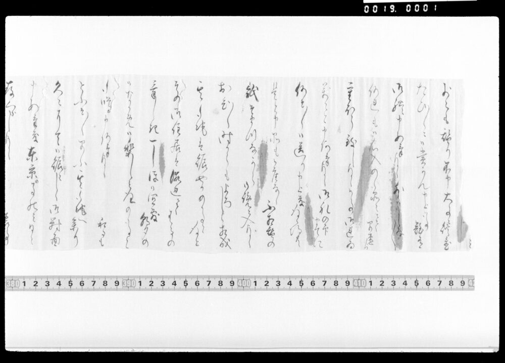 作品画像：某女書翰(前後欠)