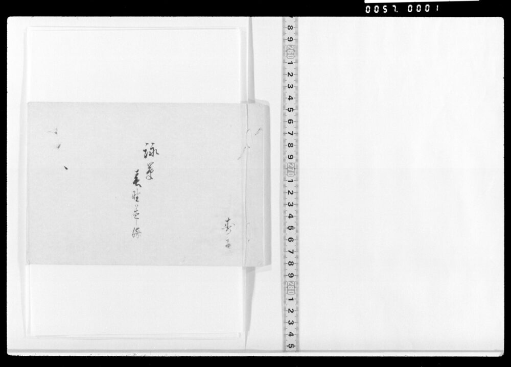作品画像：詠草(元日等)