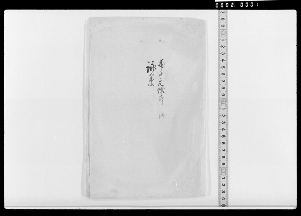 作品画像：詠草(行路落葉等)(未綴)