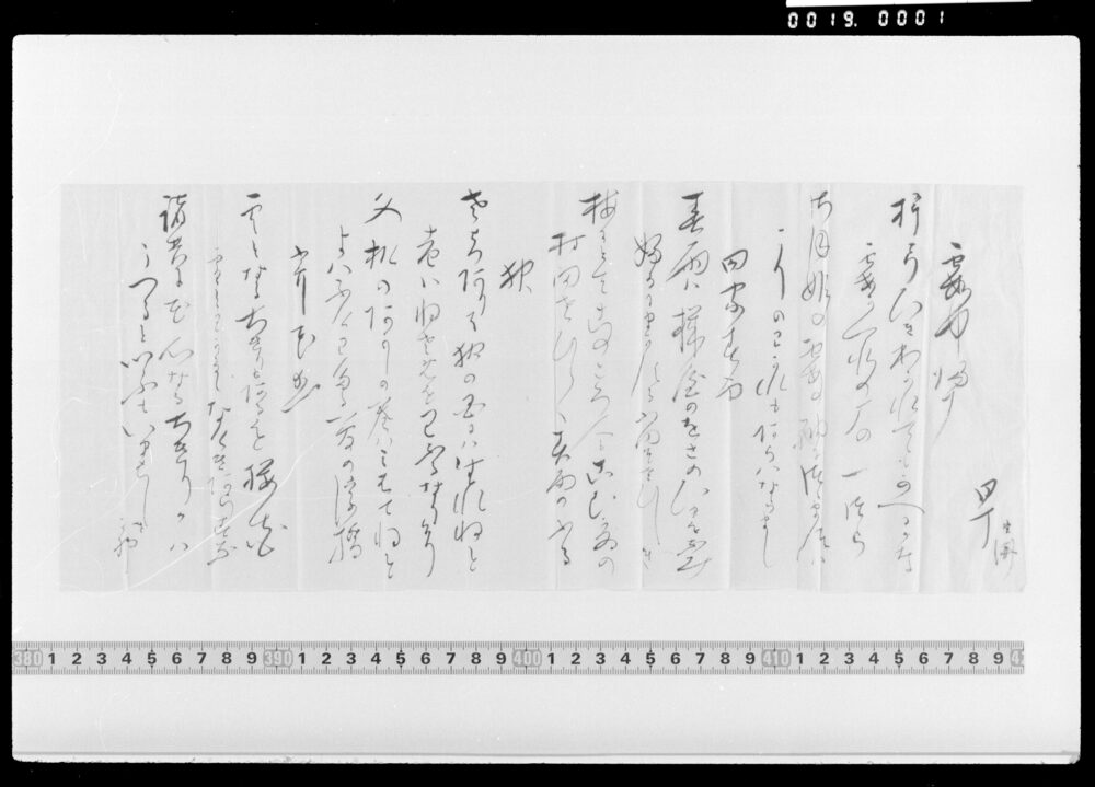 作品画像：詠歌書上(霞中帰雁等)