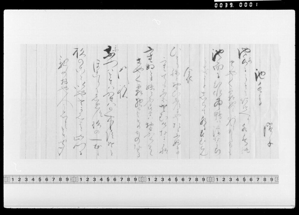 作品画像：詠歌書上(池水鳥等)