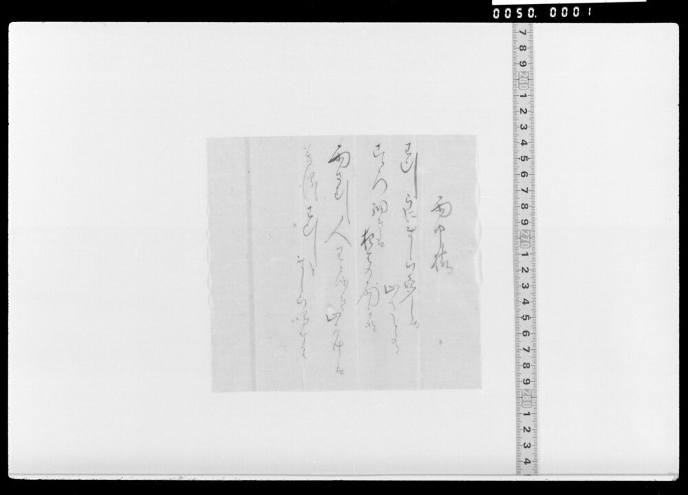 作品画像：詠歌書上(雨中猿)