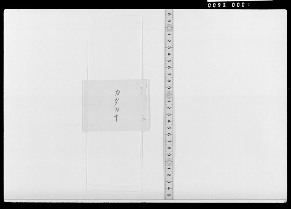 作品画像：カタカナ書出