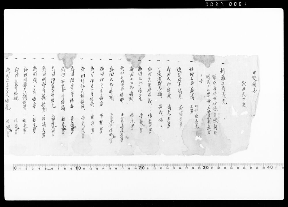 作品画像:甲斐国誌 抄録 武田氏世