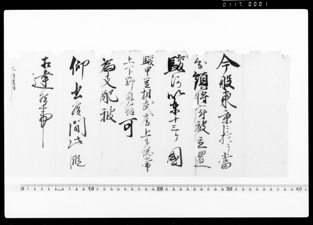 作品画像:達(鎮将府支配の国仰せ出られ候につき)