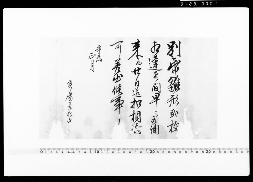 作品画像:別紙雛形の通取調の上可差出旨達