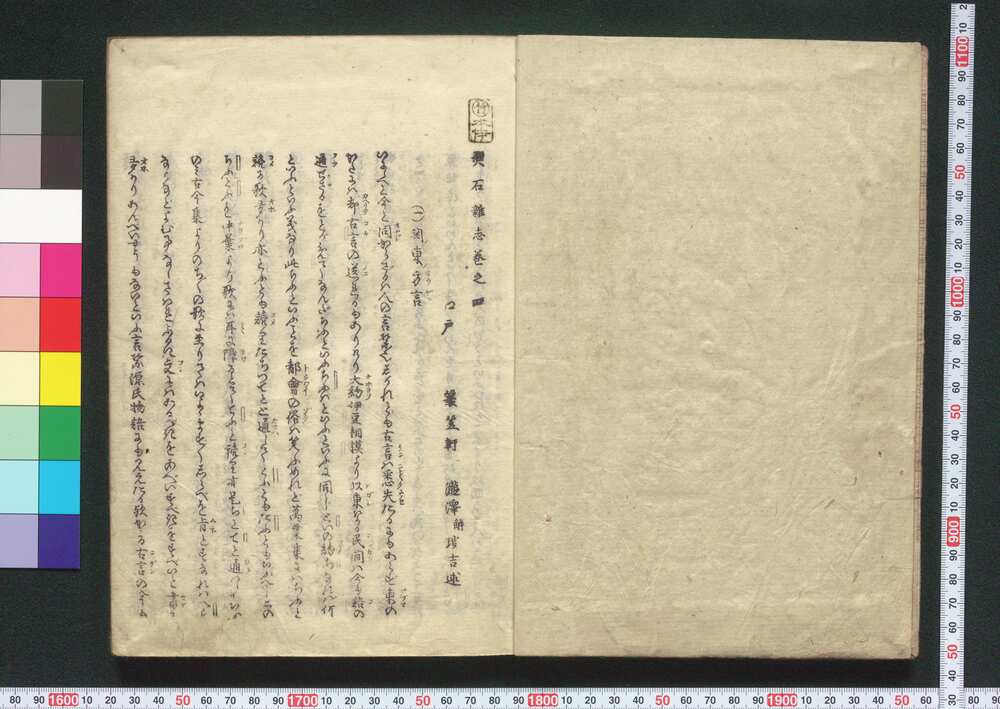 作品画像:燕石雑志 巻四