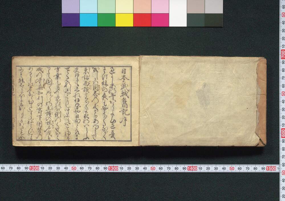 作品画像:日本武城旧記
