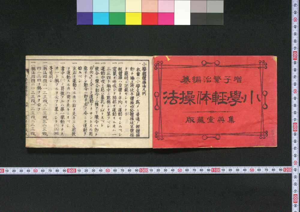 作品画像：小学軽体操法