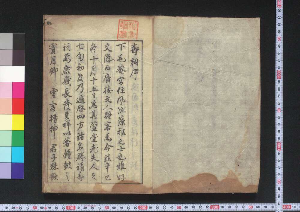作品画像:古連茂姫松