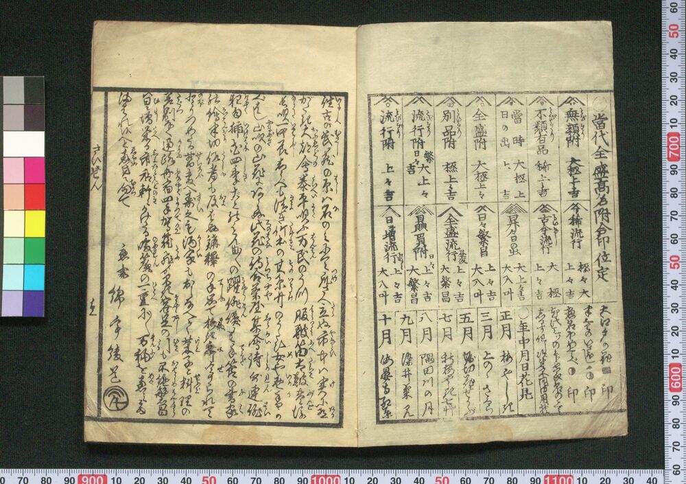 作品画像:江戸細撰記