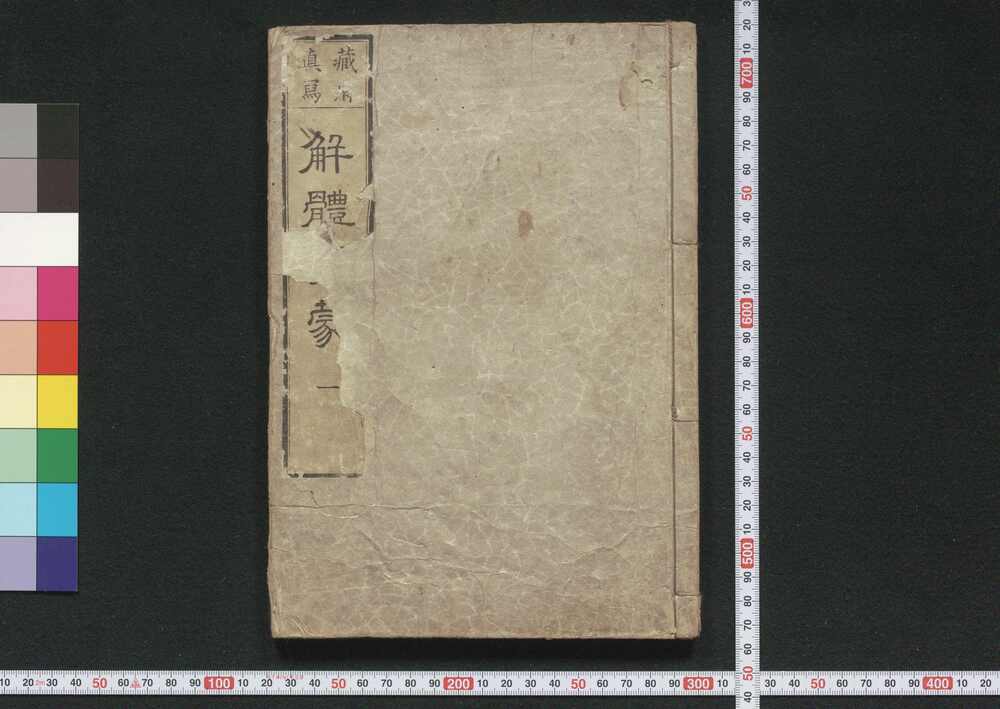作品画像:臓府真写 解体発蒙