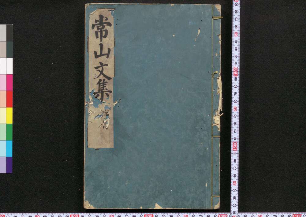 作品画像:常山文集
