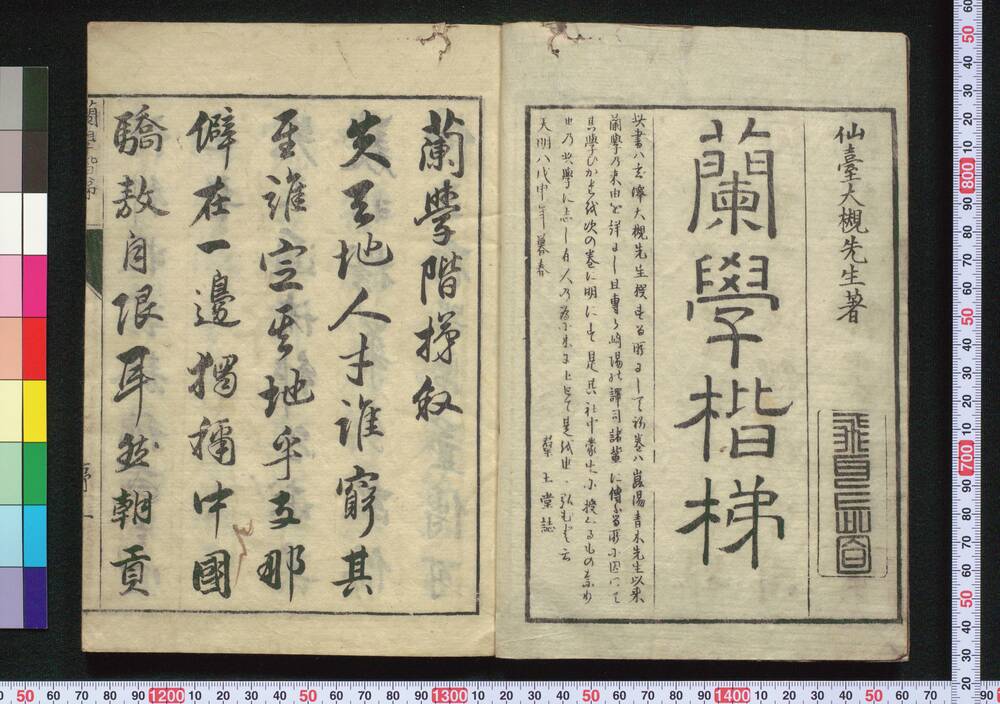 作品画像:蘭学楷梯