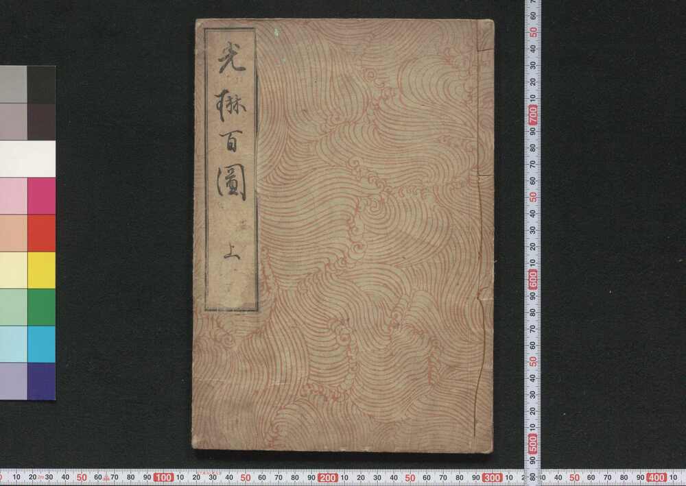 作品画像:光琳百図