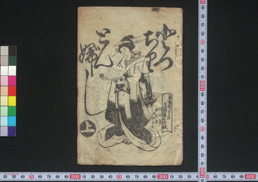 作品画像:とっちりとんぶし