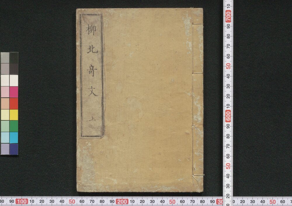 作品画像:柳北奇文