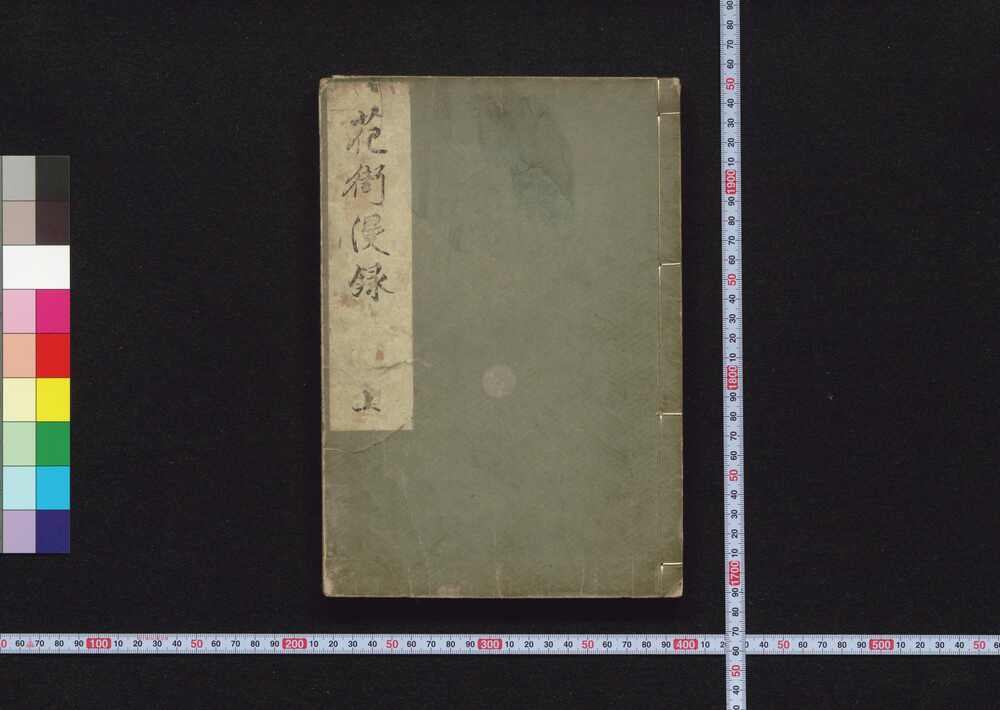 作品画像：花街漫録　