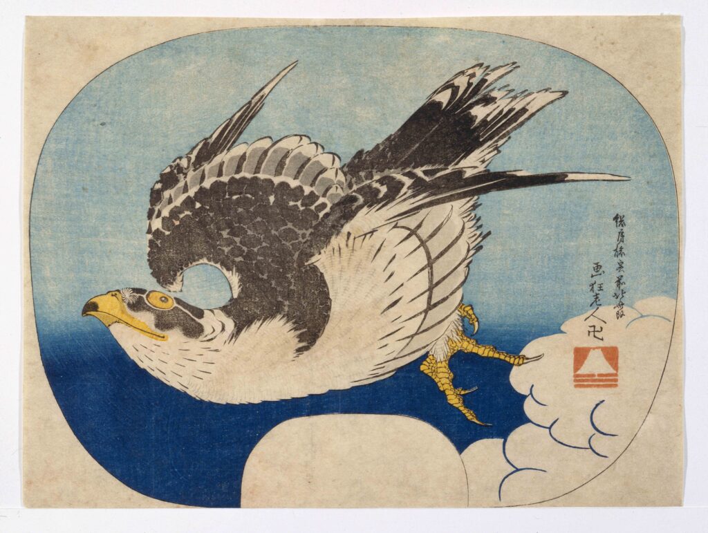 作品画像：鷹
