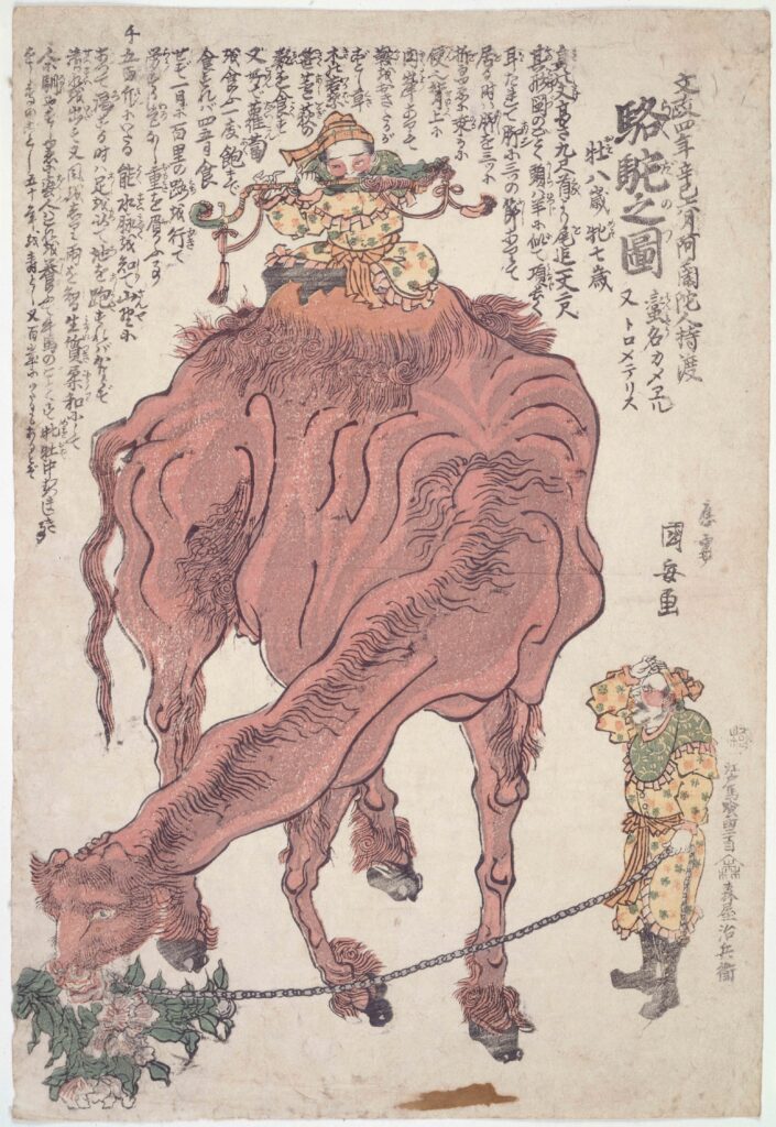 作品画像:駱駝之図