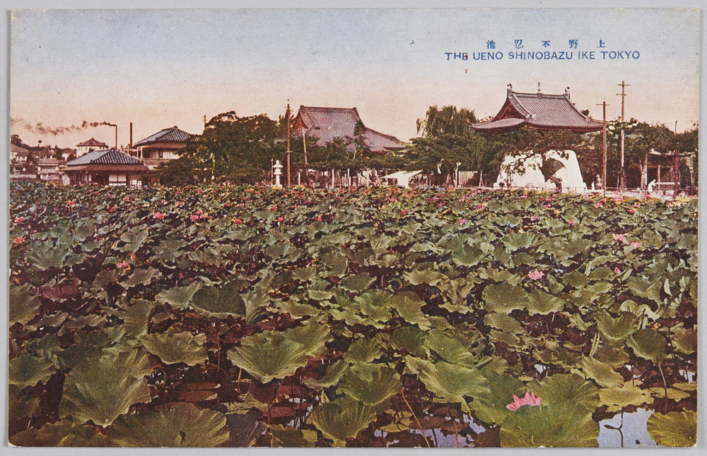 作品画像：上野不忍池