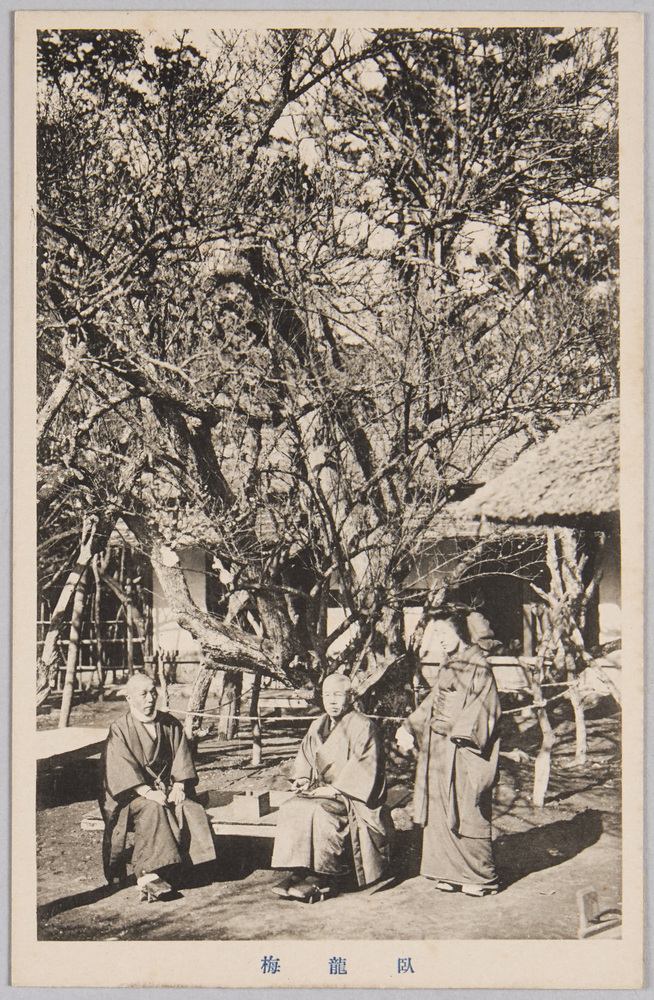 作品画像:臥龍梅(男性2人 女性1人)