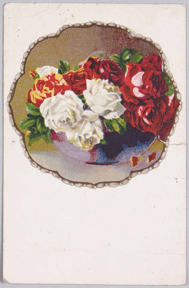 作品画像：植物　絵葉書　ばら