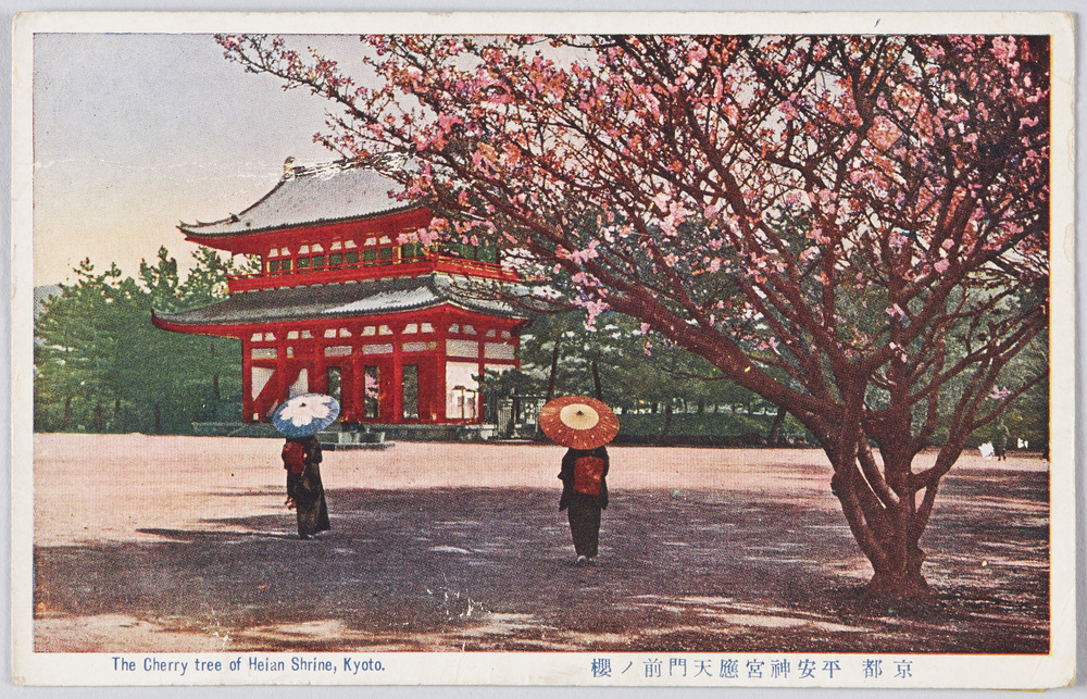作品画像:京都 平安神宮応天門前ノ桜