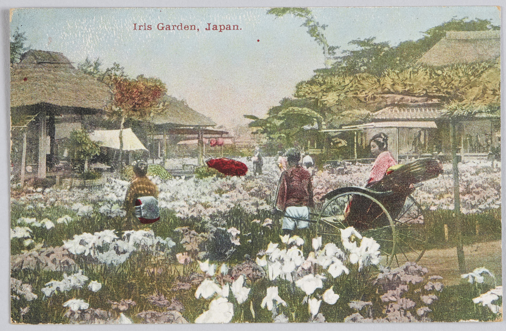 作品画像:Iris Garden, Japan.