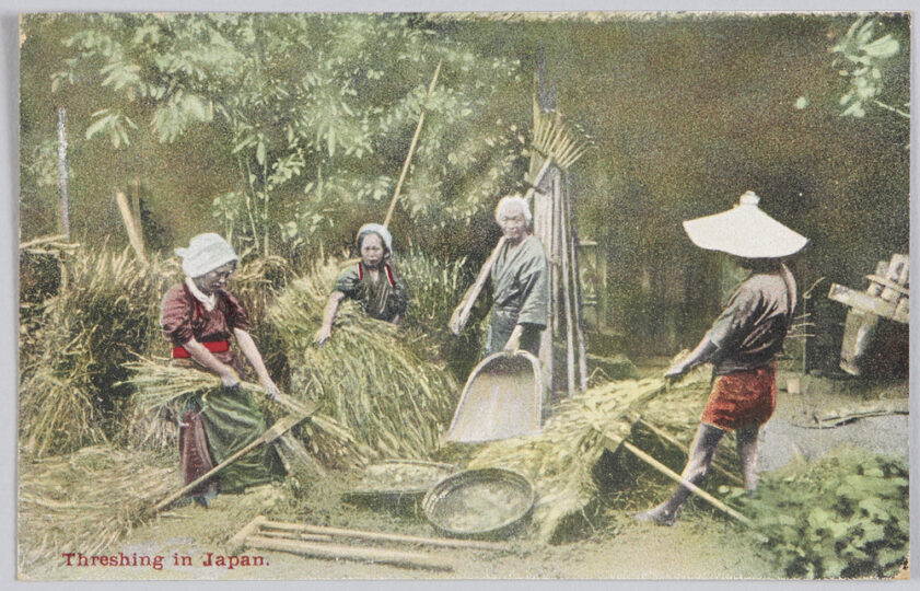 Threshing in Japan. | ToMuCo - Tokyo Museum Collection