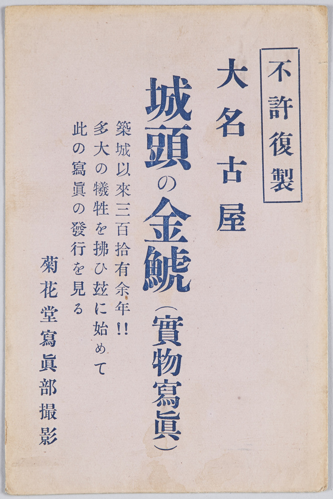 作品画像:大名古屋 城頭の金鯱(実物写真)