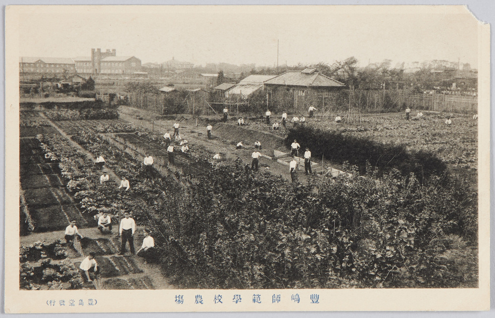 作品画像:豊嶋師範学校