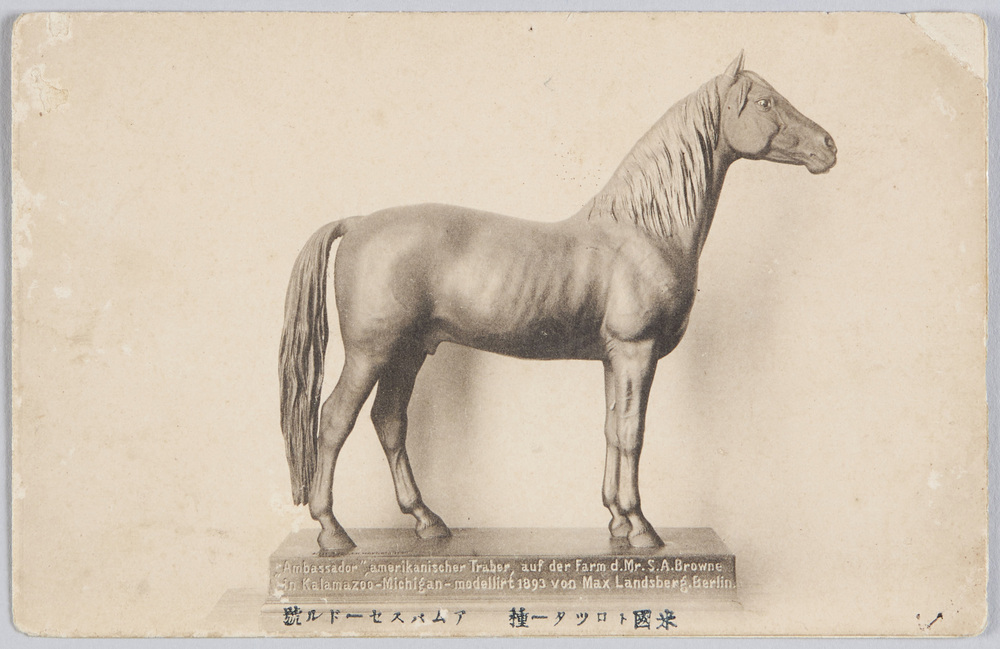 作品画像:米国トロツター種 アムバスセードル号