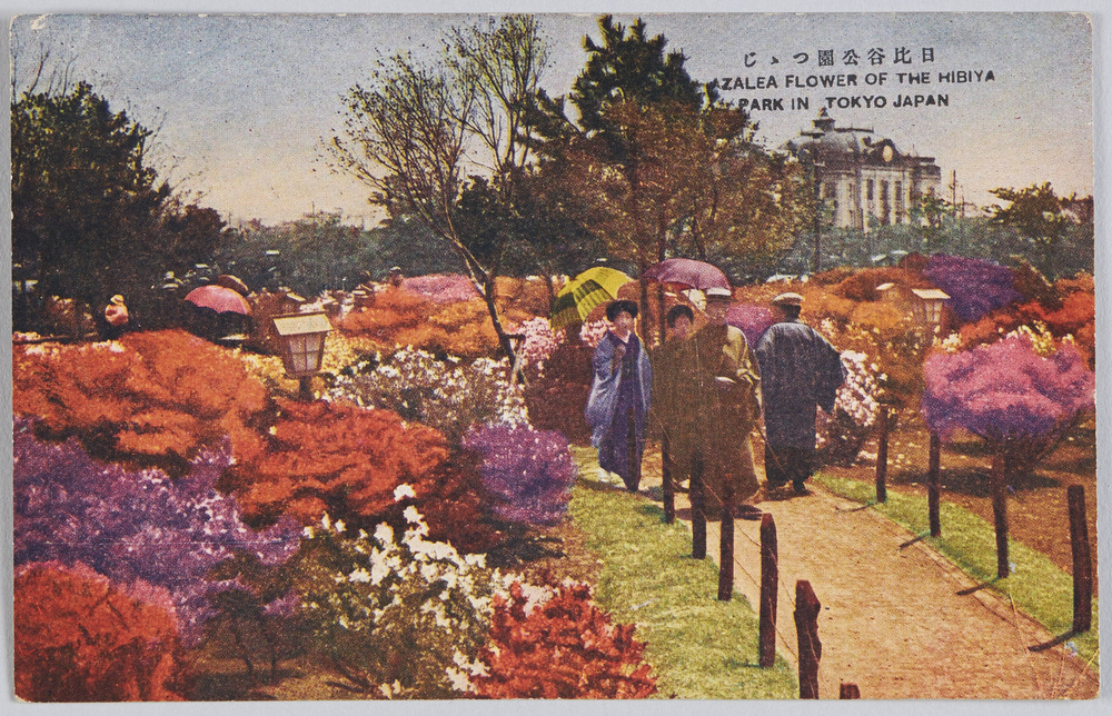 作品画像:日比谷公園つゝじ