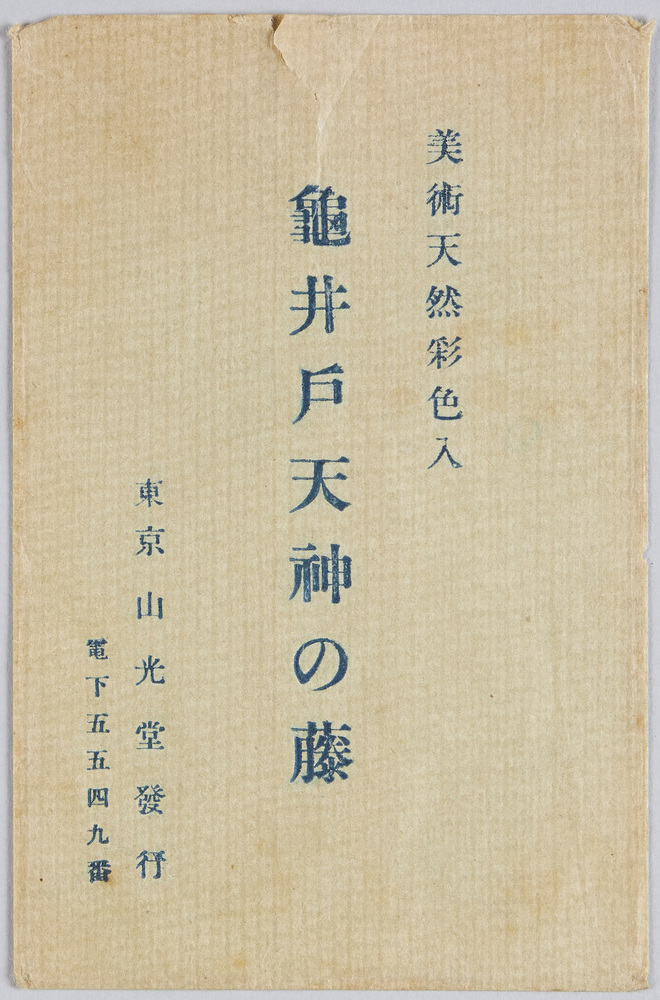 作品画像:亀井戸天神の藤
