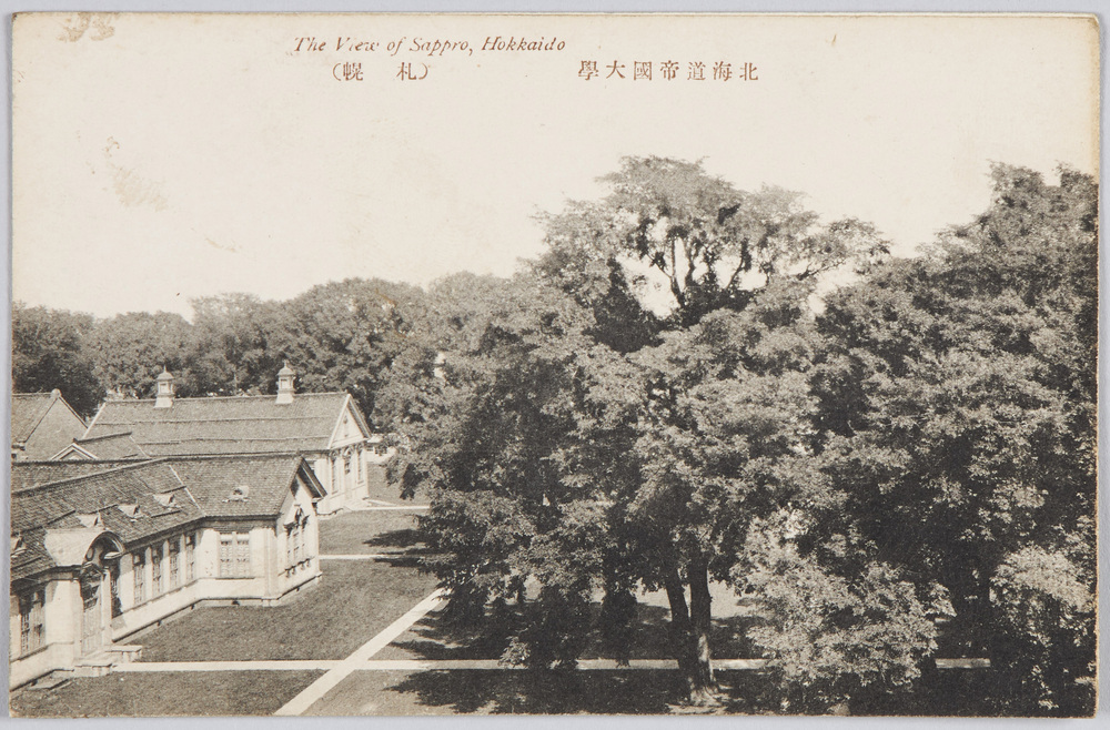 作品画像:北海道帝国大学(札幌)