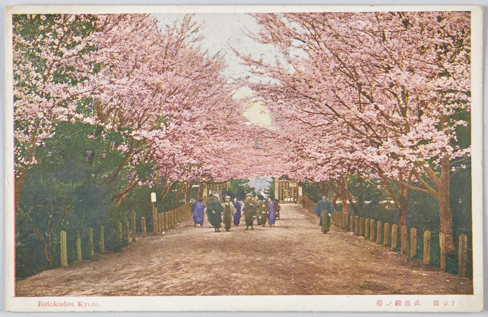 作品画像:(京都)武徳殿ノ桜