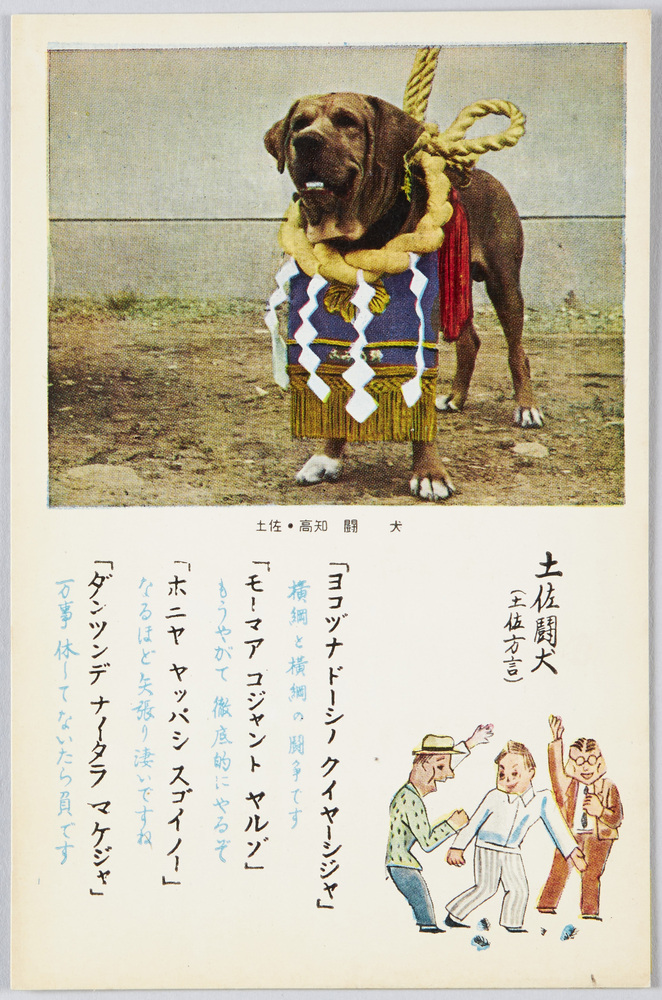 作品画像:土佐・高知 闘犬