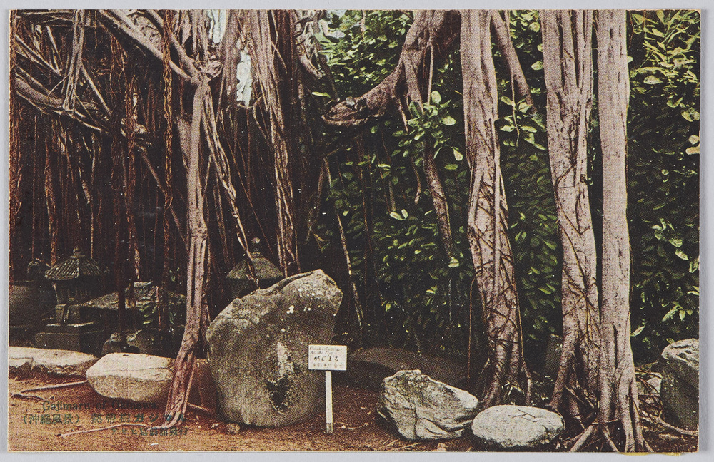 作品画像：沖縄風景